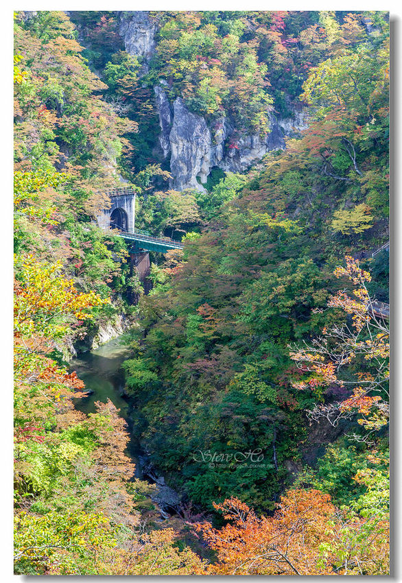 IMG_7770.jpg IMG_7770.jpg