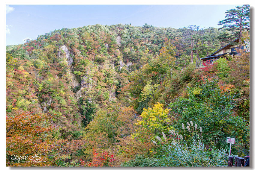 IMG_7810.jpg IMG_7810.jpg