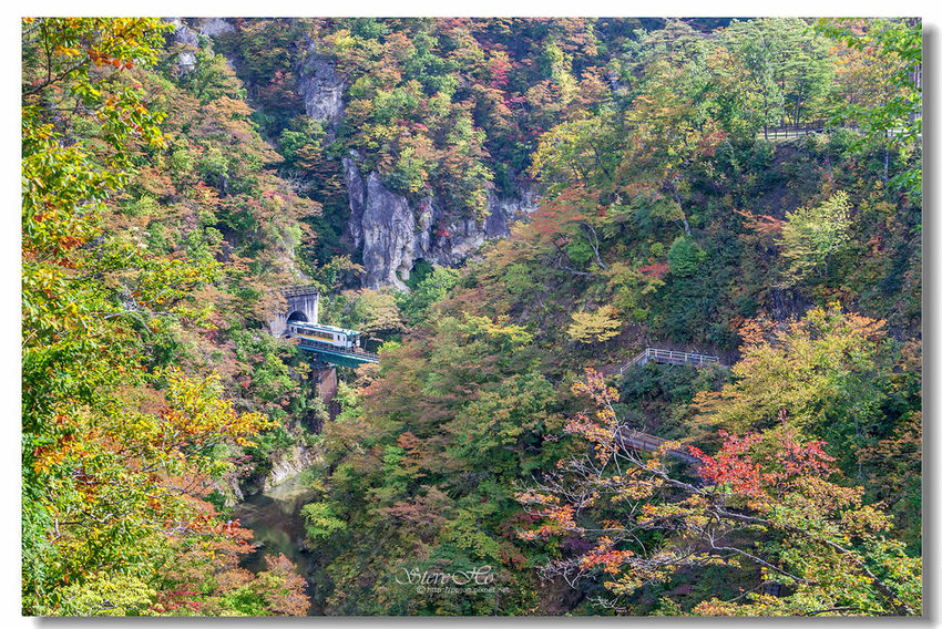 IMG_7782.jpg IMG_7782.jpg