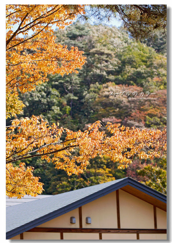 IMG_9825-3.jpg IMG_9825-3.jpg