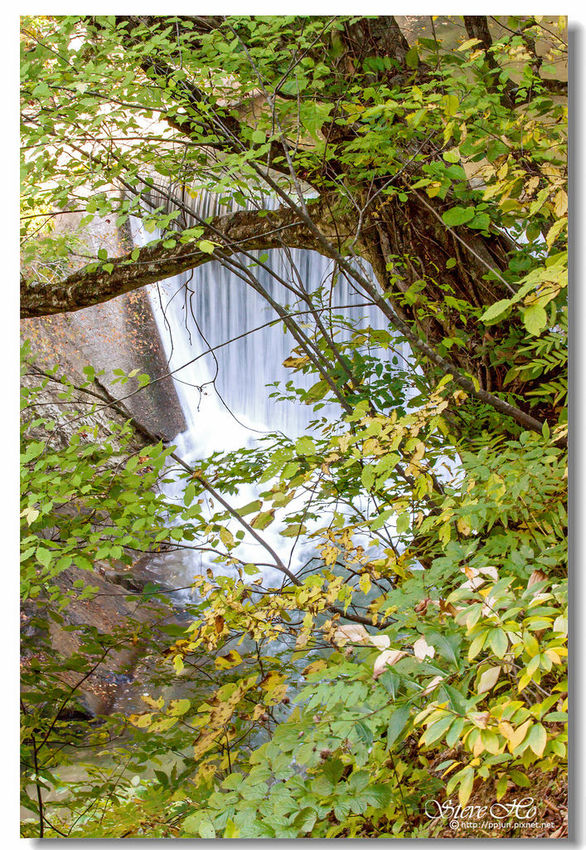 IMG_9869.jpg IMG_9869.jpg