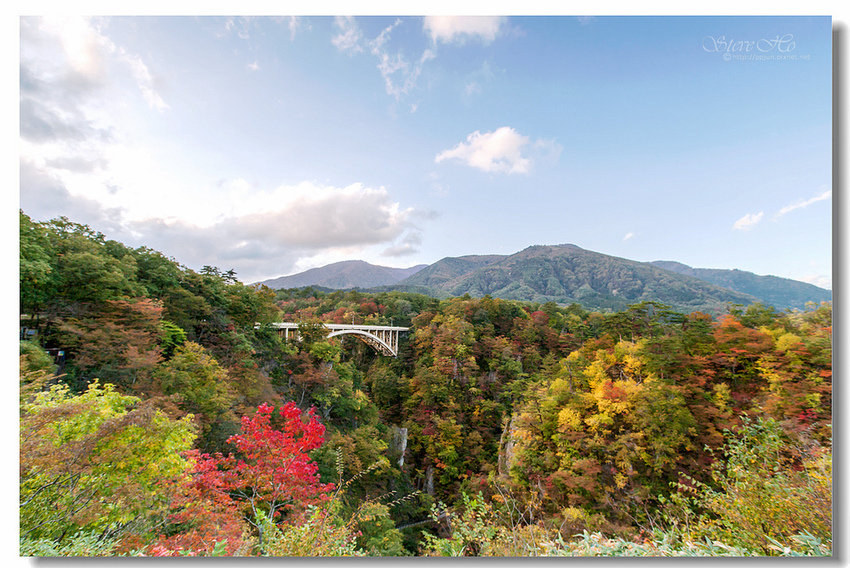 IMG_8156.jpg IMG_8156.jpg