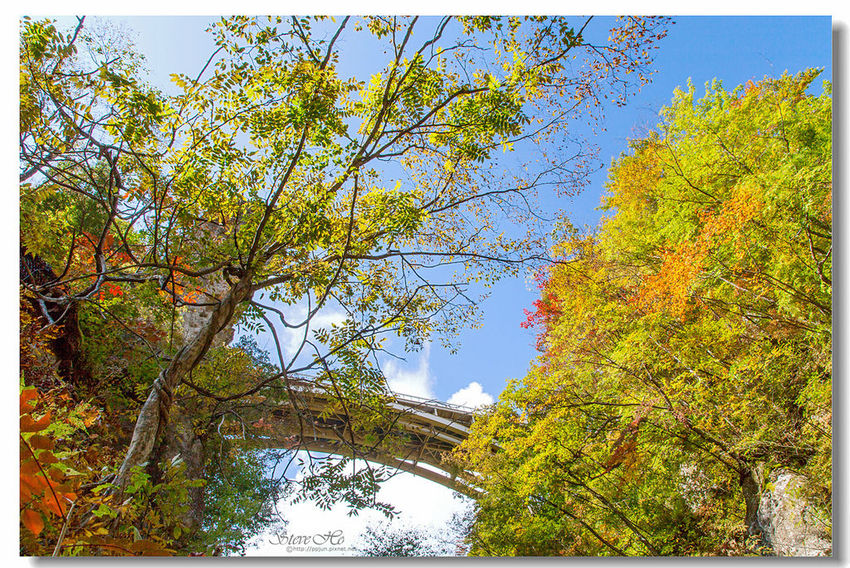 IMG_7955.jpg IMG_7955.jpg