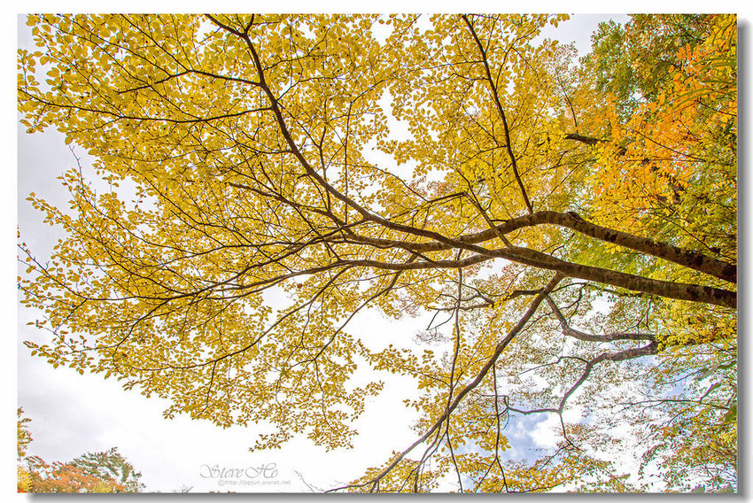 IMG_7857.jpg IMG_7857.jpg