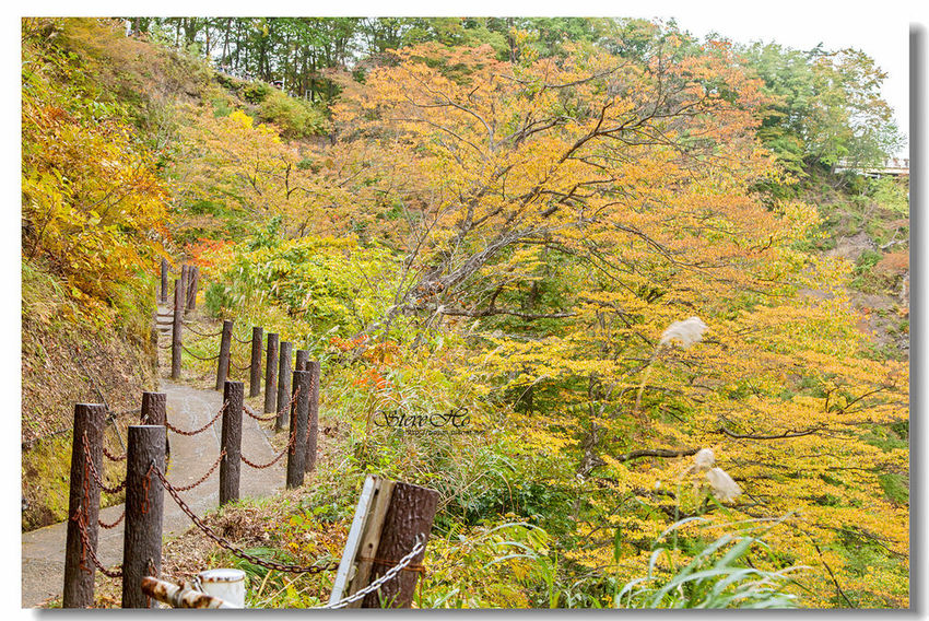 IMG_7867.jpg IMG_7867.jpg