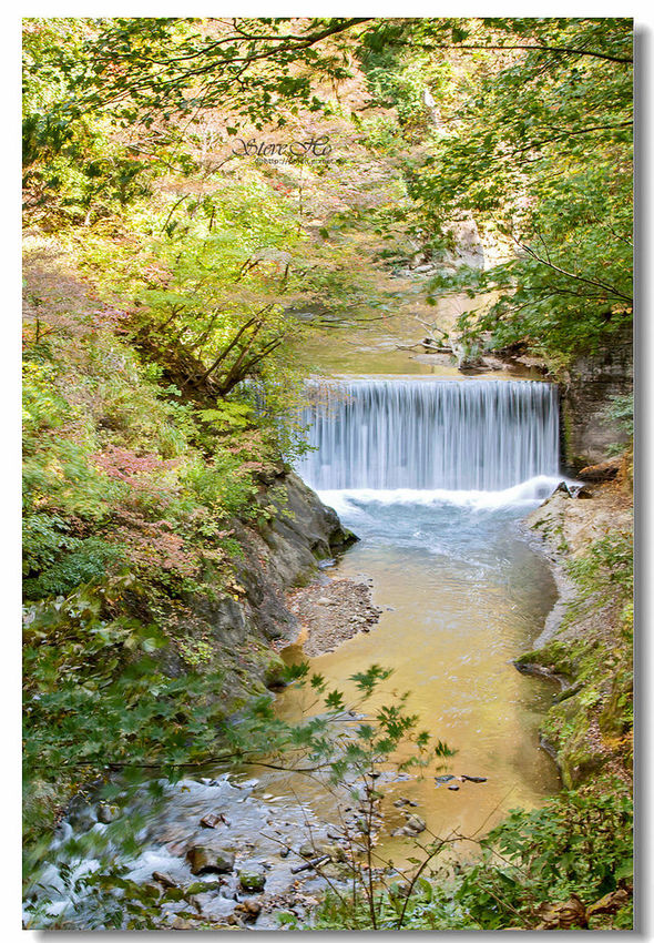 IMG_7904.jpg IMG_7904.jpg