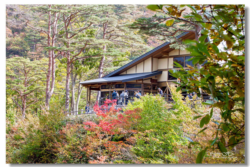 IMG_9876.jpg IMG_9876.jpg