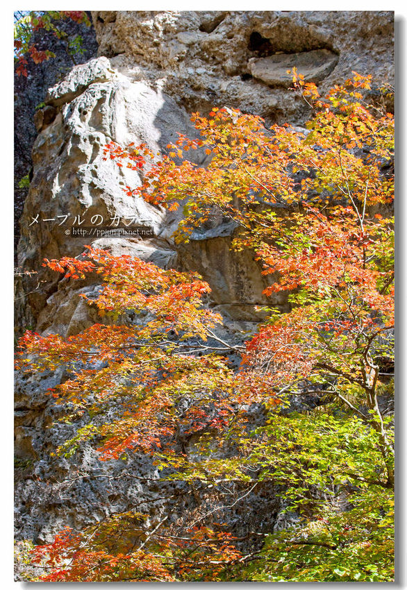 IMG_9859.jpg IMG_9859.jpg