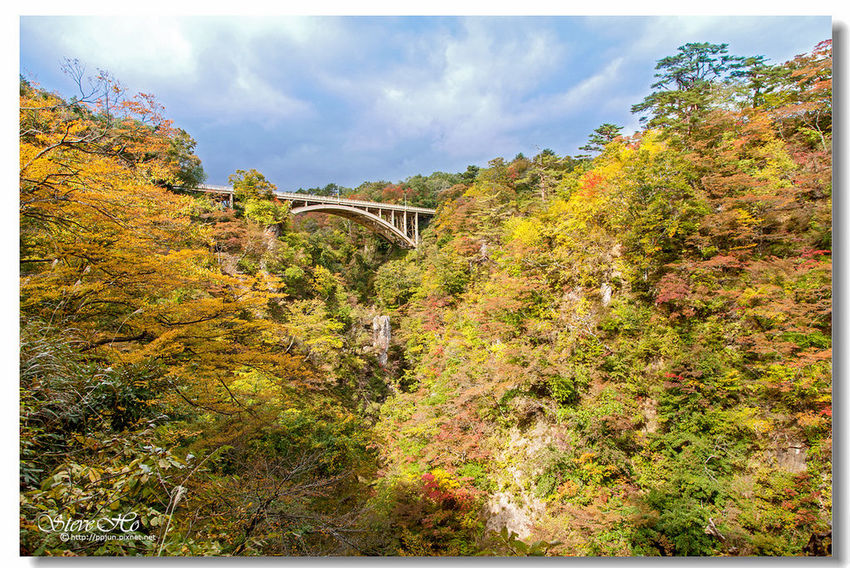 IMG_7839.jpg IMG_7839.jpg