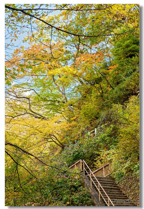 IMG_7970.jpg IMG_7970.jpg