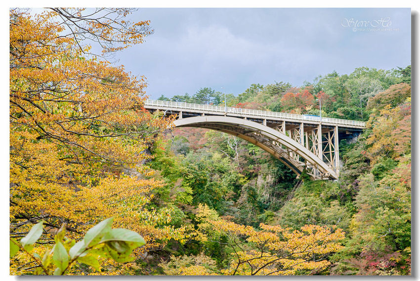 IMG_7834.jpg IMG_7834.jpg