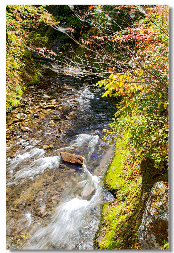 IMG_7926.jpg IMG_7926.jpg