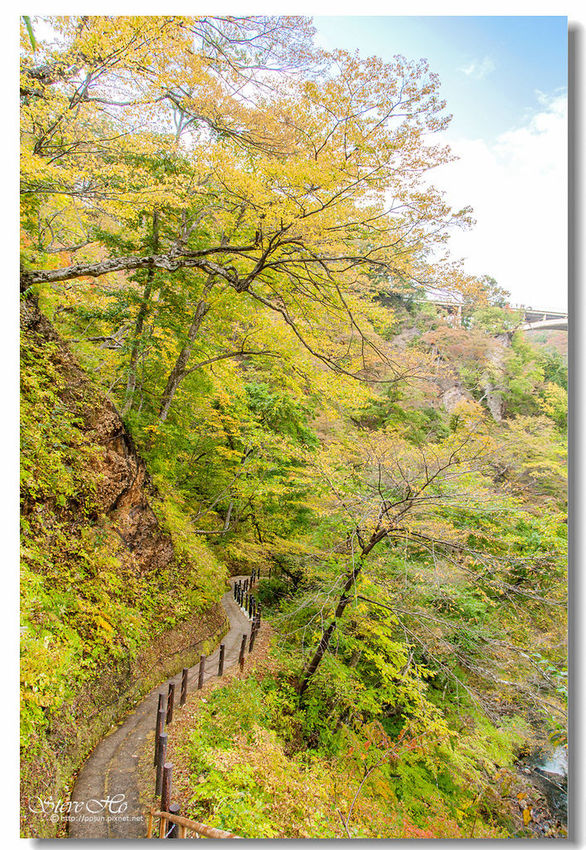 IMG_7883.jpg IMG_7883.jpg