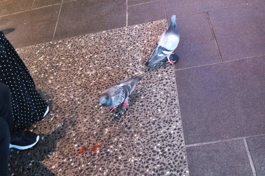 仙台名物 阿部蒲鉾店