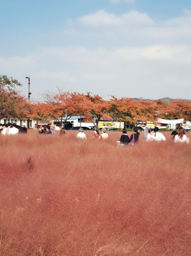 O2Cam_20181025135936-01