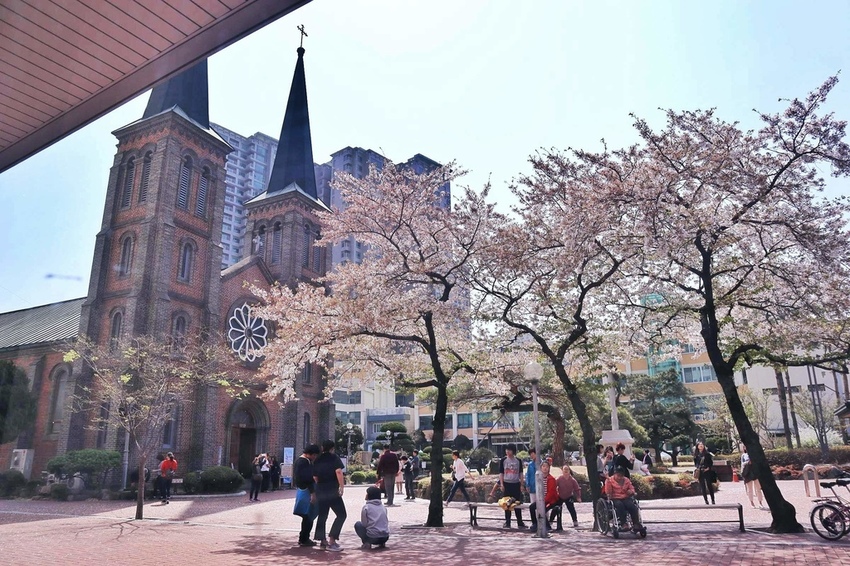 咖啡名家커피명가