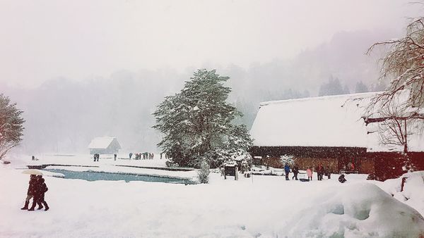 SelfieCity_20160209153852_org.jpg SelfieCity_20160209153852_org.jpg