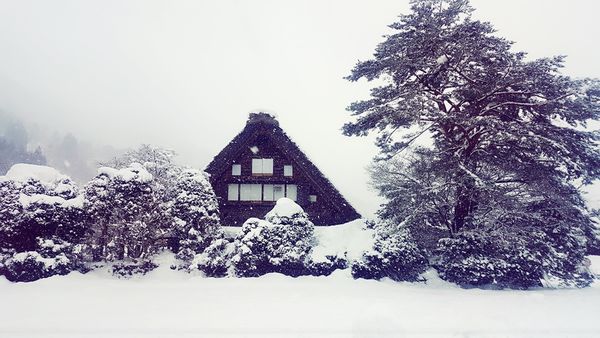 SelfieCity_20160209153740_org.jpg SelfieCity_20160209153740_org.jpg