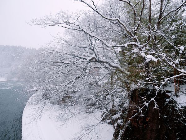 SelfieCity_20161126100736_org.jpg SelfieCity_20161126100736_org.jpg