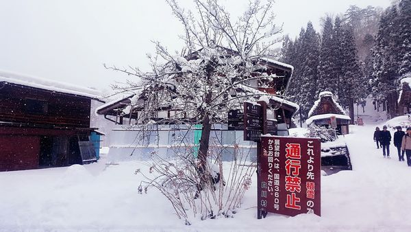 SelfieCity_20160209153635_org.jpg SelfieCity_20160209153635_org.jpg