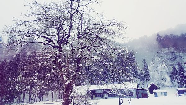 SelfieCity_20160209153714_org.jpg SelfieCity_20160209153714_org.jpg