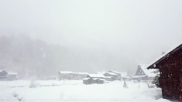 SelfieCity_20160209153939_org.jpg SelfieCity_20160209153939_org.jpg