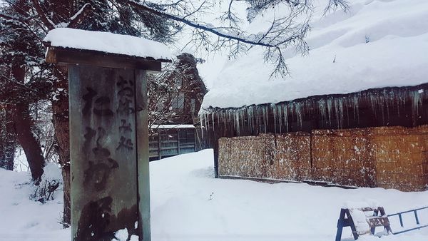 SelfieCity_20160209153608_org.jpg SelfieCity_20160209153608_org.jpg