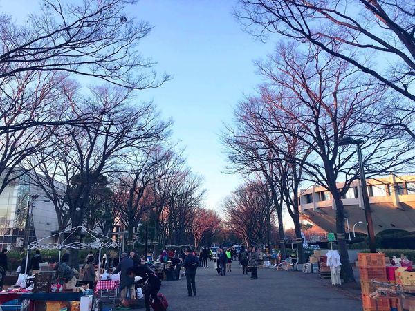 16244845_10208192373791248_1314445423_o