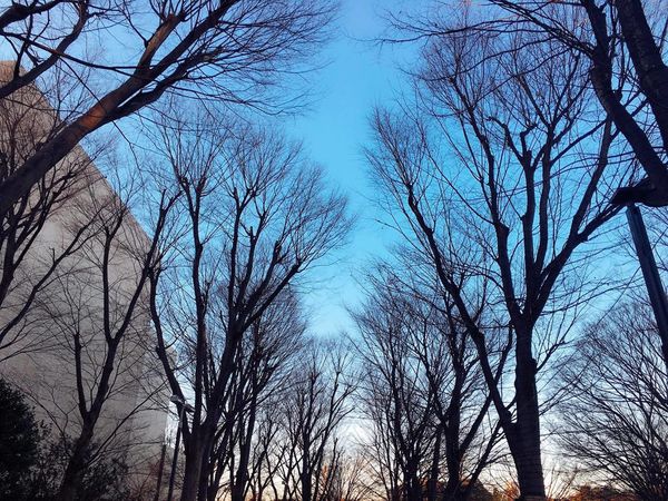 16326234_10208192372551217_1221633968_o