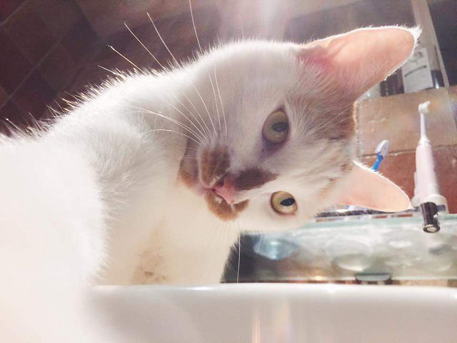 FB_IMG_1487266143171