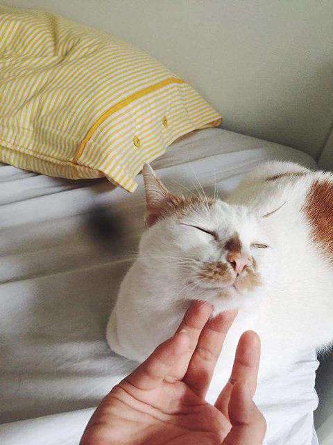 FB_IMG_1487266132824