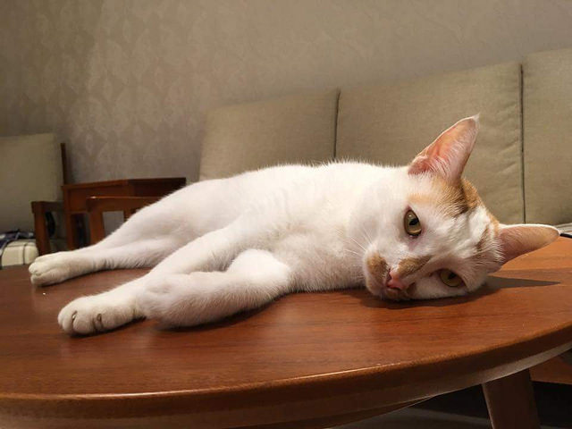 FB_IMG_1487266127313