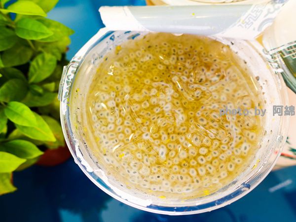 【桃園飲料】茶水印人文茶飲 桃園梅獅店-獨家 L-阿拉伯糖，喝甜蜜少負擔，茶飲杯杯現泡，自然回甘．楊梅特色茶飲/桃園手搖飲料/桃園飲料美食小吃