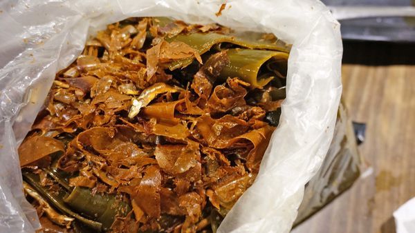 【板橋美食】有乾人麻辣鴛鴦火鍋-真材實料!吃了會著迷的隱藏版巷弄麻辣火鍋店