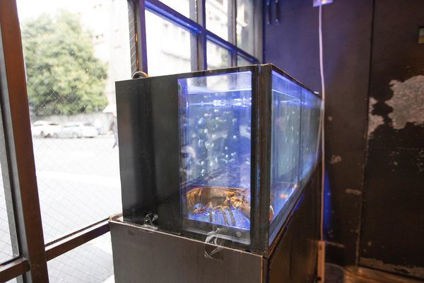 鐵支涮火鍋 TIGI HOT POT (大安區創始店) - 24