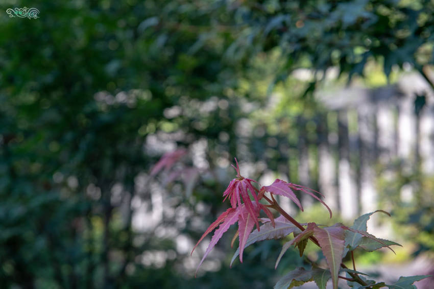 礁溪住宿推薦》宜蘭有朋會館 - 時尚簡約villa民宿 一泊二食的無菜單料理 - 時空幻境 凌雲江海清