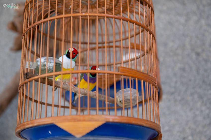 礁溪住宿推薦》宜蘭有朋會館 - 時尚簡約villa民宿 一泊二食的無菜單料理 - 時空幻境 凌雲江海清