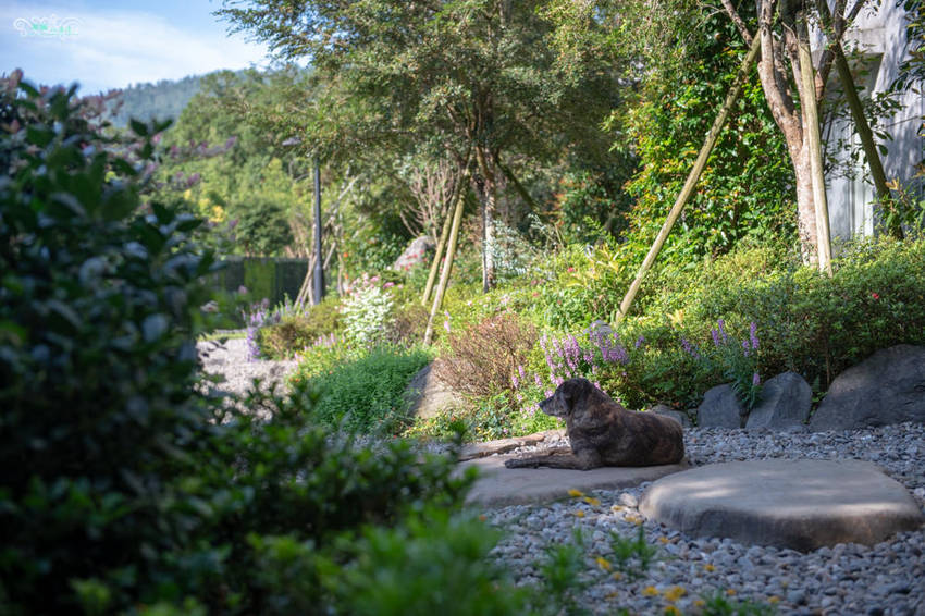 礁溪住宿推薦》宜蘭有朋會館 - 時尚簡約villa民宿 一泊二食的無菜單料理 - 時空幻境 凌雲江海清