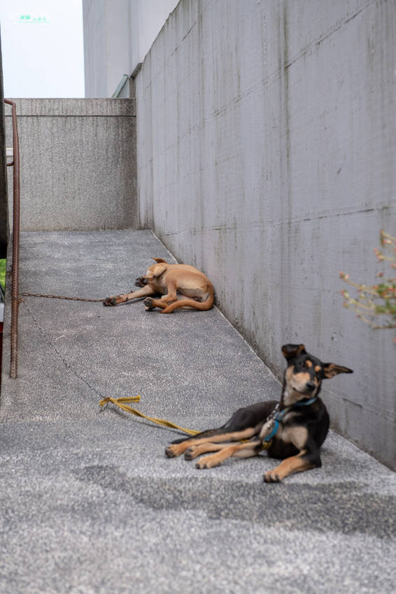 礁溪住宿推薦》宜蘭有朋會館 - 時尚簡約villa民宿 一泊二食的無菜單料理 - 時空幻境 凌雲江海清