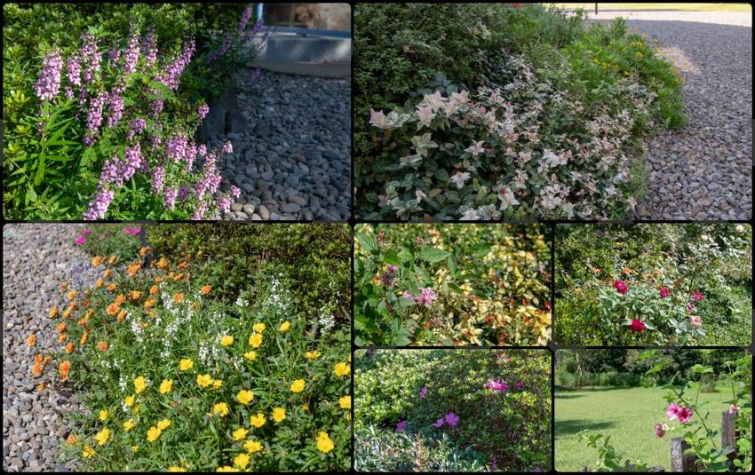 礁溪住宿推薦》宜蘭有朋會館 - 時尚簡約villa民宿 一泊二食的無菜單料理 - 時空幻境 凌雲江海清