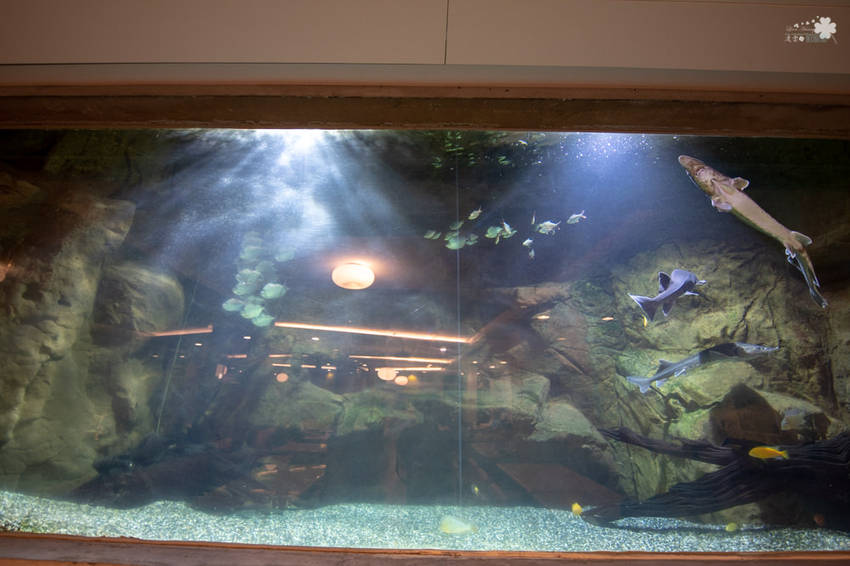 礁溪住宿推薦》宜蘭有朋會館 - 時尚簡約villa民宿 一泊二食的無菜單料理 - 時空幻境 凌雲江海清