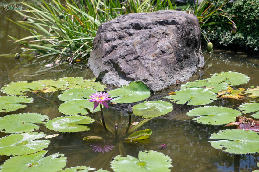 礁溪住宿推薦》宜蘭有朋會館 - 時尚簡約villa民宿 一泊二食的無菜單料理 - 時空幻境 凌雲江海清