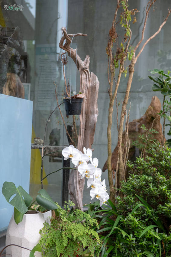 礁溪住宿推薦》宜蘭有朋會館 - 時尚簡約villa民宿 一泊二食的無菜單料理 - 時空幻境 凌雲江海清