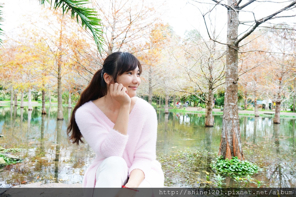 花蓮落羽松景點 鈺展苗圃 壽豐鄉景點 東華大學附近景點