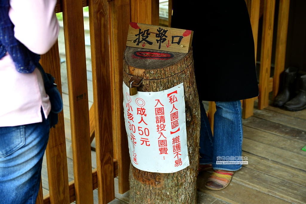 花蓮旅遊打卡拍照必去景點,花蓮旅遊,花蓮落羽松,鈺展苗圃,東華大學