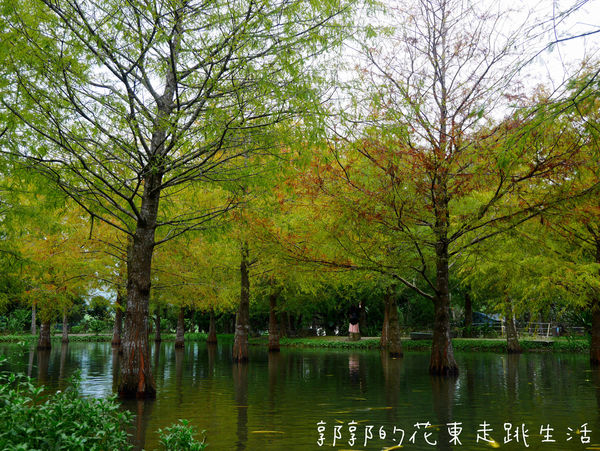 IMG_9885.jpg IMG_9885.jpg