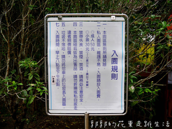 IMG_9882.jpg IMG_9882.jpg