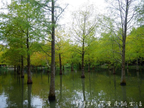 IMG_9893.jpg IMG_9893.jpg