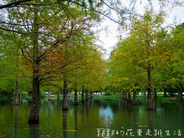 IMG_9887.jpg IMG_9887.jpg