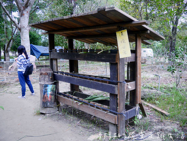 IMG_9890.jpg IMG_9890.jpg